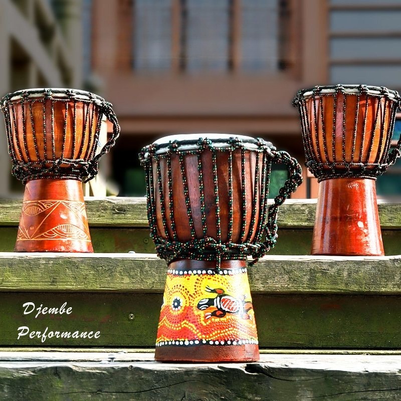Musical Instrument Djembe - Tamburo Africano per Bambini Principianti, Djembe