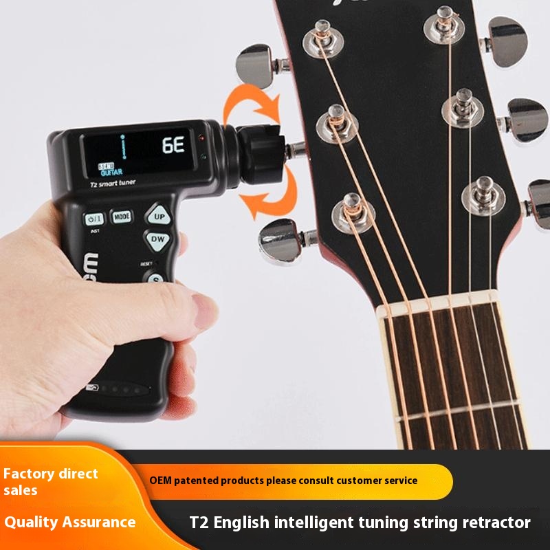 Accordatore automatico per chi - Musical Instrument With Strings recensione e prezzo